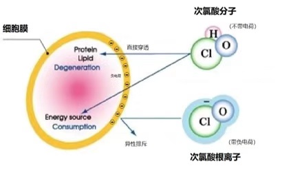 微酸性電解水次氯酸與84消毒液有什么不同，家用消毒效果對(duì)比如何？